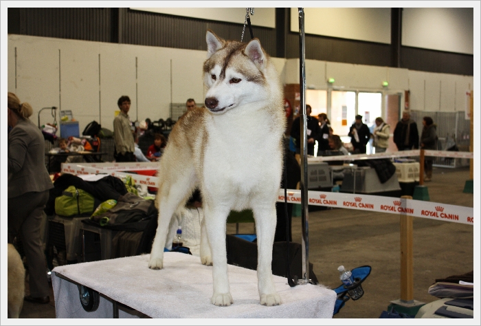 Forever Of Cool Water