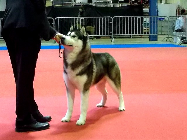 Café noir Of Cool Water